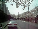 b4611e14.jpg