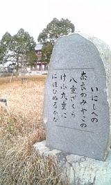 d82abd4c.jpg