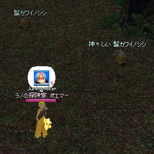 ɦ���磻�Υ�����