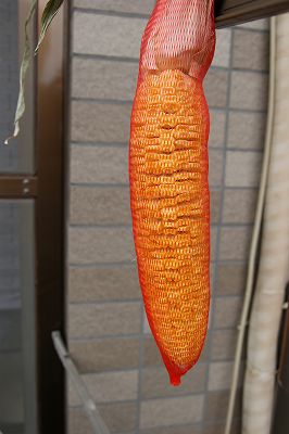 go-30