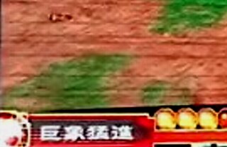巨象猛進