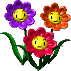 きれいな三つ子のお花です