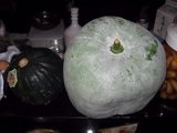 ��_20060918_���ܤ�����߱�
