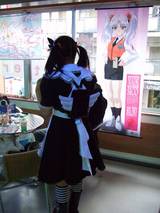 SisterRoses_�����å�