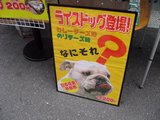 �饤���ɥå�_����_�ʤˤ��졩