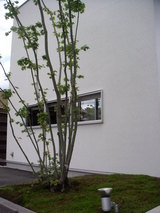 PICT0072