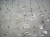 PICT0081