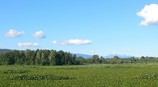 Burnaby20Lake20Regional20Park20(1)