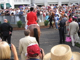 Curlin