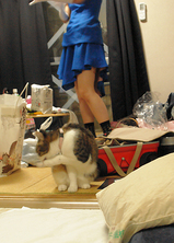 1c1f7a85.jpg