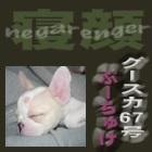 negarenger