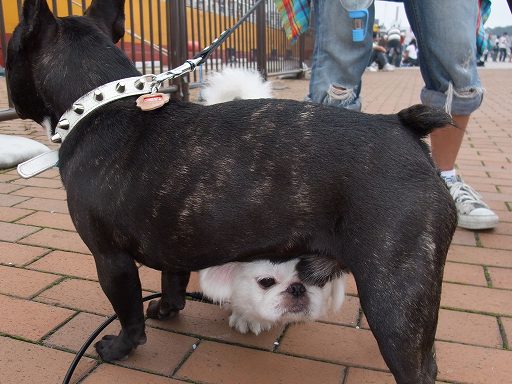 �ڤ������ʤ�ΰ���������