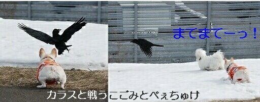 ���饹vs�����ڤ�