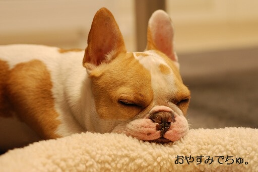 ���䤹��