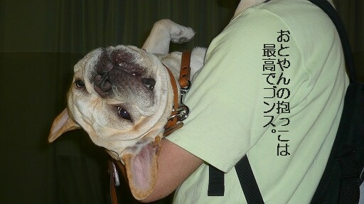 ��­�����ʤ���鷯
