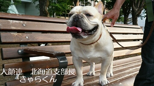 ����鷯