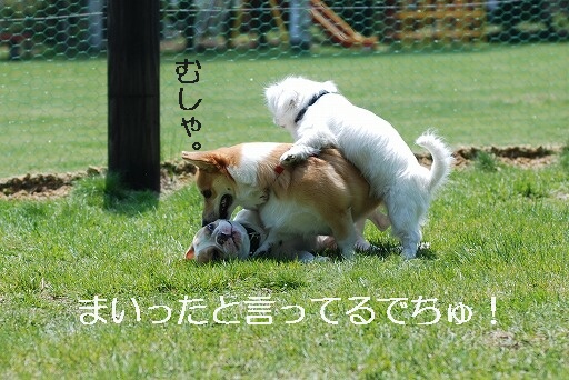 �Ȥˤ�������ޤ��ä���