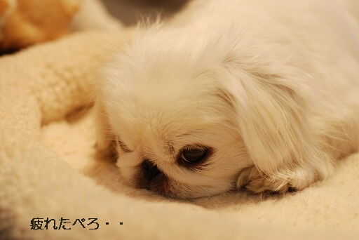 ���䤹��