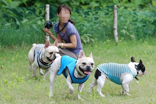 ��Ȥ�����ܥ֤�����إ֥�����