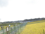 �Τ�Ӥ꣱