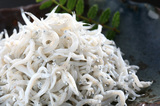 sirasu