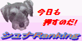 �V���i�o�i