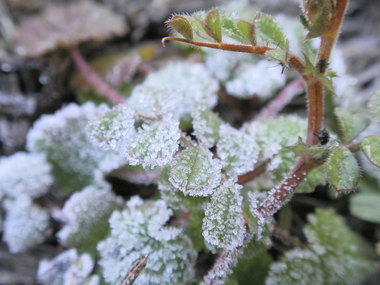 P1270243
