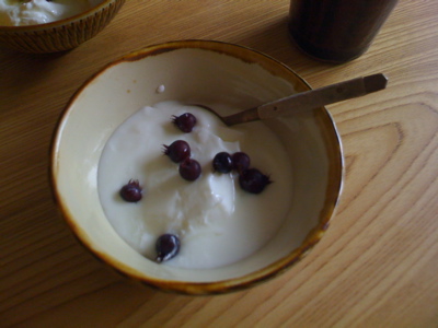 juneberries in yogurt