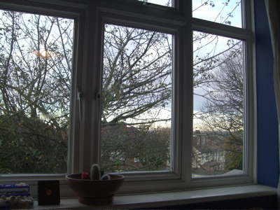 window