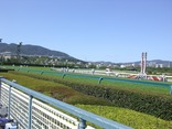 20090926阪神6