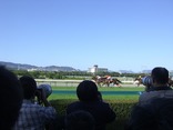 20090926阪神7