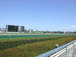 20060926阪神4