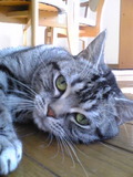 Image024