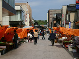noto07