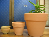 e81f8d60.jpg
