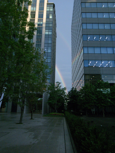 R0010341d.jpg