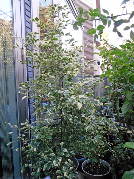 R0010368_edited-1