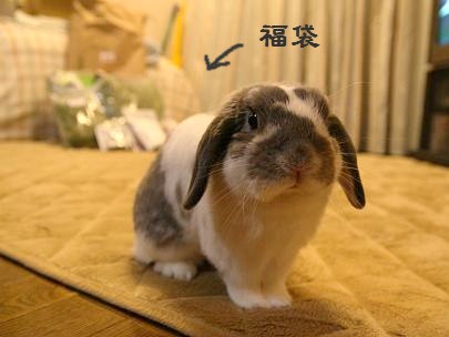 �����ե��� (2)