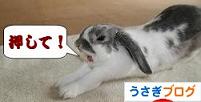 �ˤۤ�֥���¼���������֥�����