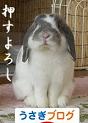 �ˤۤ�֥���¼���������֥�����