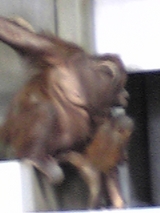 ¤ª¤é¤ó¤¦¡¼¤¿¤ó