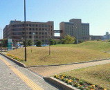 学校