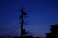 IMGP0109s_電球色蛍光灯