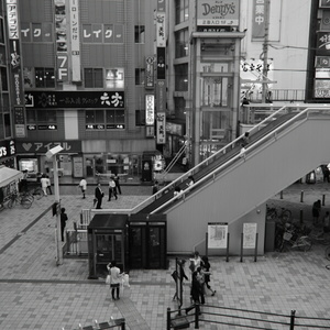 IMGP0320s