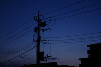 IMGP0105s_CTE