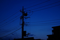 IMGP0110s_白熱灯