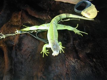���餫�������ࡡ��������