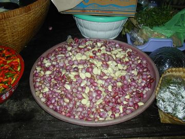 �Х���顡�Х�����������