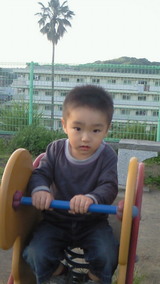 d2641360.jpg
