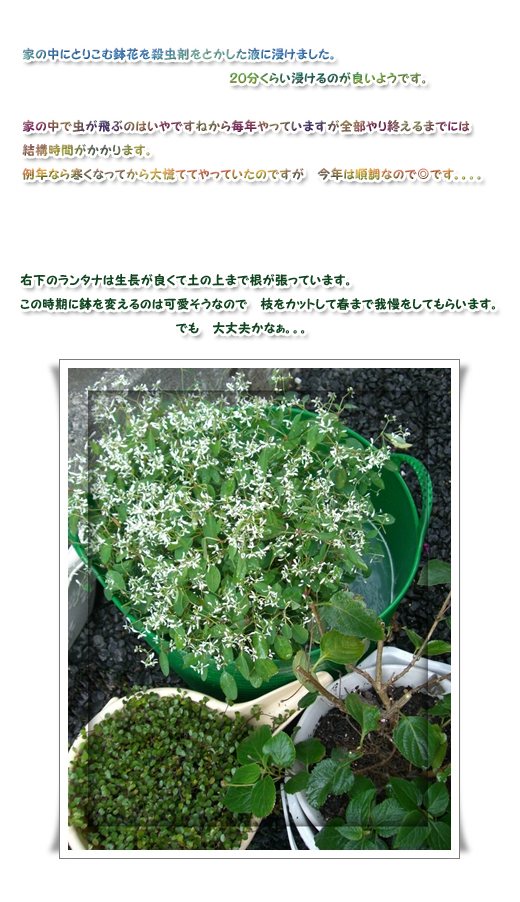 �����路���ʤ�������